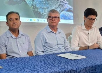 PSD, PSDB e União Brasil realizaram convenção partidária em Vila Pavão e o escolhido é o ex-prefeito Irineu Wutke