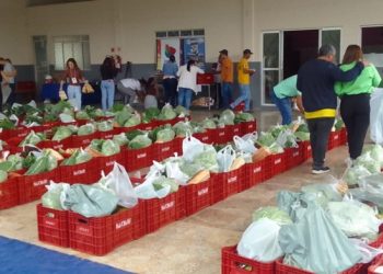 Parceria entre Município e Governo do Estado garante terceira entrega da “Cesta Verde” em Barra de São Francisco