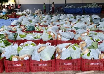 Barra de São Francisco realiza 7ª entrega do Programa Compra Direta de Alimentos e beneficia 130 famílias