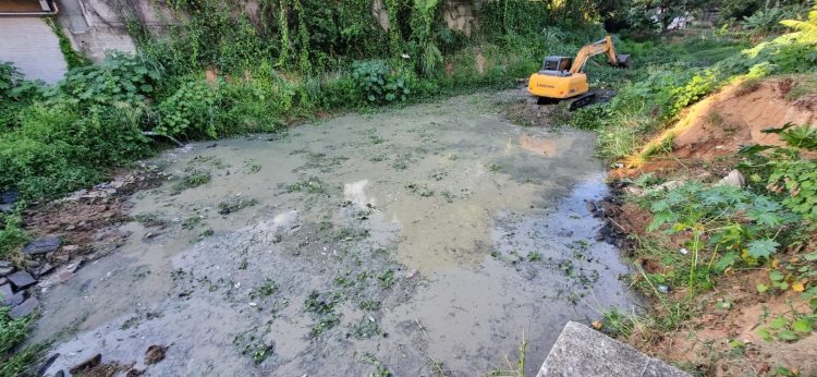 Estiagem em Barra de São Francisco: Prefeitura mobiliza maquinário para retirar peixes mortos dos rios Itaúnas e São Francisco