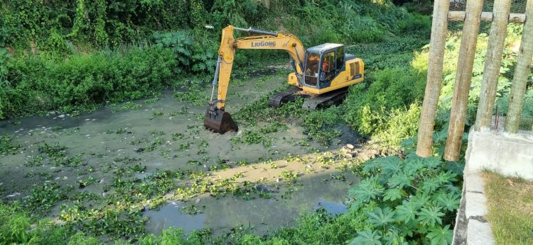 Estiagem em Barra de São Francisco: Prefeitura mobiliza maquinário para retirar peixes mortos dos rios Itaúnas e São Francisco