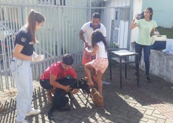 Prefeitura de Barra de São Francisco realiza Dia D de Vacinação Polivalente para Cães e Gatos dia (07/03)