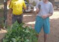 Mais de 21 mil mudas de árvores nativas e frutíferas foram distribuídos em Barra de São Francisco em 6 anos e seis meses de gestão, 2021 a 2026