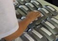 Descentralização implantada na gestão de Tyago Hoffmann amplia acesso e transforma vidas em São Gabriel da Palha