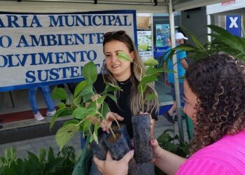 Em 5 anos e 7 meses, gestão 2021–2026 distribui mais de 21 mil mudas de árvores nativas e frutíferas em Barra de São Francisco.