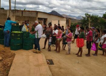 Hortão Municipal de Barra de São Francisco segue distribuindo alimentos gratuitamente para instituições sociais, inclusive a Colina