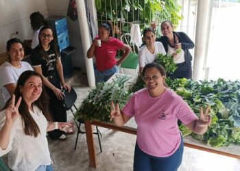 Hortão Municipal de Barra de São Francisco continua distribuindo alimentos gratuitamente para instituições sociais