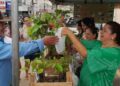 Secretarias de Meio Ambiente e Agricultura francisquense distribuem 1.000 mudas de árvores nativas e frutíferas no Dia da Árvore