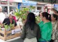 Em 5 anos e 9 meses, gestão 2021–2026 distribui mais de 27 mil mudas de árvores nativas e frutíferas em Barra de São Francisco.